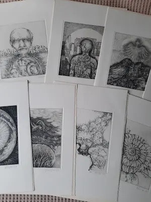 John van Kooten - "Koninklijke kunst" | portfolio met 16 etsen kopen? Bied vanaf 10!