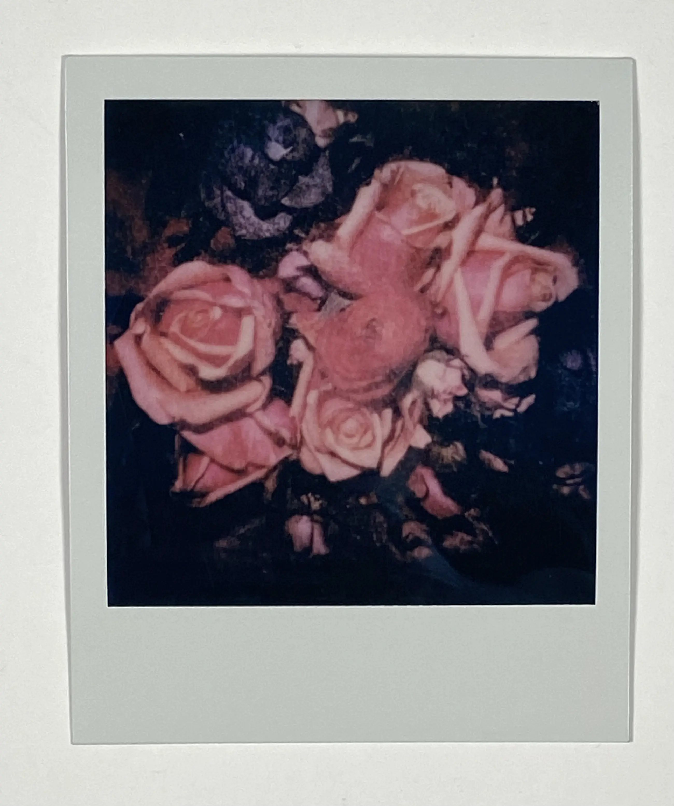 Want to buy Nobuyoshi Araki Still Life Original Polaroid (with