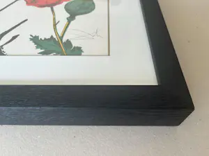 Salvador Dali - SUMMER - épreuve d'artiste - 1986 kopen? Bied vanaf 550!