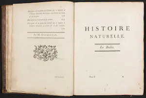 Georges-Louis Leclerc de Buffon - en Jacques de Seve - 14 delen van Histoire naturelle avec la description kopen? Bied vanaf 200!