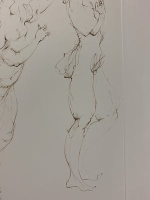 Leonor Fini - Des femmes et le chat kopen? Bied vanaf 25!