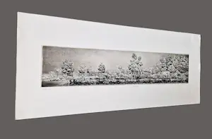 Gerard van Rooy - grote "panorama" Ets (vd drukker) "oud Erf" - beperkte oplage (28/75) kopen? Bied vanaf 40!
