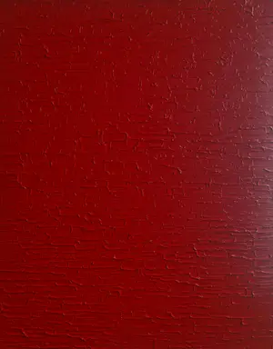Bruno CANTAIS - RED PASSION kopen? Bied vanaf 420!