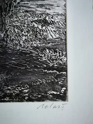 Gerard Bellaart - gesigneerde ets kopen? Bied vanaf 20!