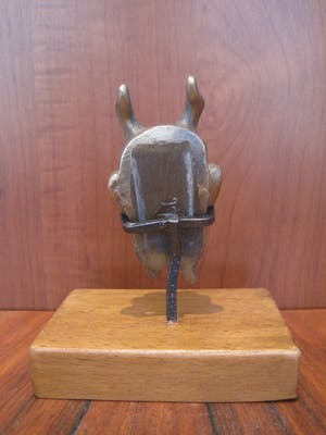 Brons (Onbekend) - Bronzen sater kop. kopen? Bied vanaf 35!