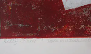 Betty Scheer - Twee muziekinstrumenten kopen? Bied vanaf 75!