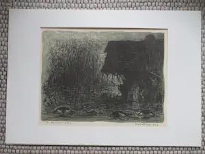 Harry van Kruiningen - Zeeland 1953 - Litho kopen? Bied vanaf 75!