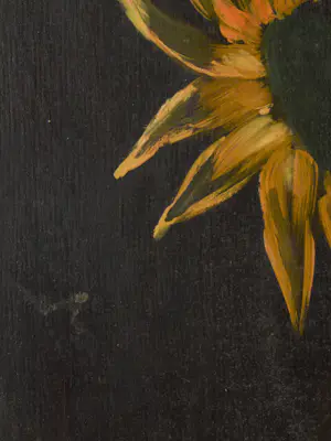 Jan Bakker - Zonnebloemen kopen? Bied vanaf 100!