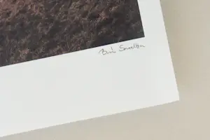 Sarolta Ban - 'Geboren om wild te zijn' (2014) kopen? Bied vanaf 75!