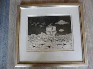 Madeleine Leddy - Ets, Titel, "Vogelvlucht". kopen? Bied vanaf 35!